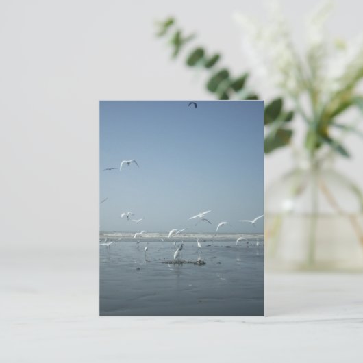 Mooie kranen vliegen over het ballet van Water Nat Briefkaart (Staand voorkant)