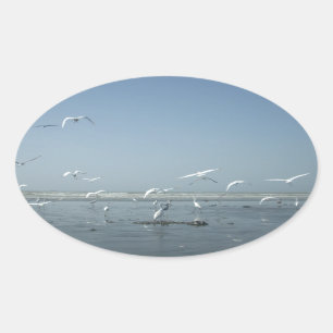 Mooie kranen vliegen over het ballet van Water Nat Ovale Sticker