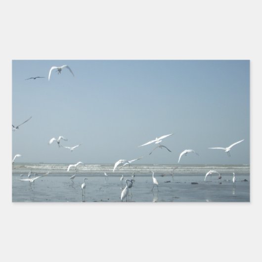 Mooie kranen vliegen over het ballet van Water Nat Rechthoekige Sticker (Voorkant)