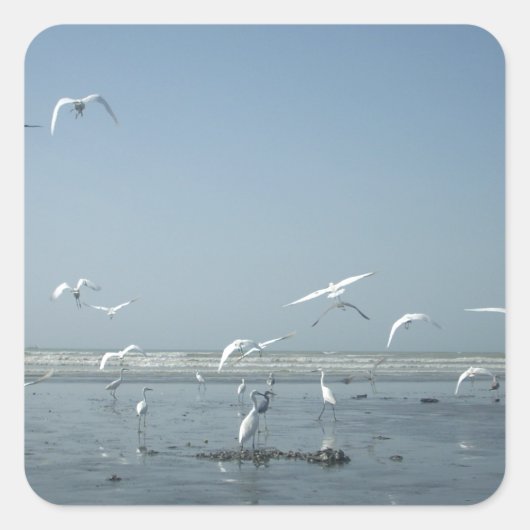 Mooie kranen vliegen over het ballet van Water Nat Vierkante Sticker (Voorkant)