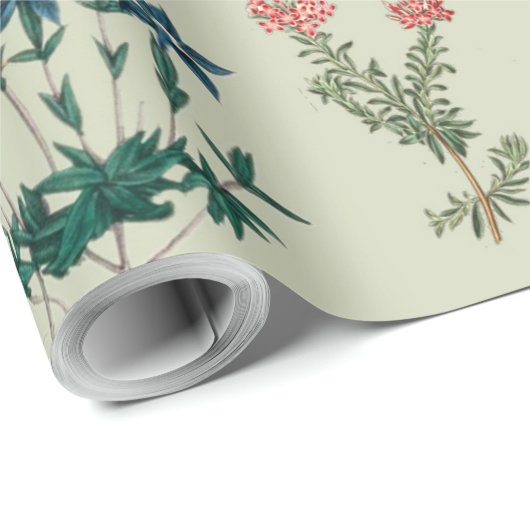 mooie kruiden en wilde bloemkunst cadeaupapier (Rol Hoek)