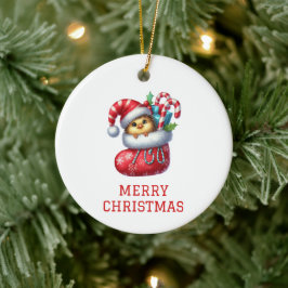 Mooie Kuiken Kerst Keramisch Ornament