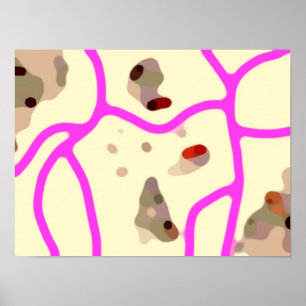 Mooie Kunst 2 Poster
