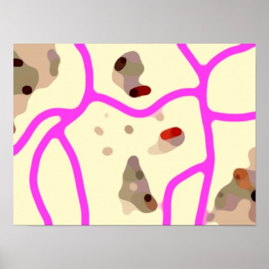 Mooie Kunst 2 Poster (Voorkant)
