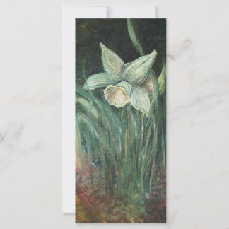 Mooie KUNST van een zacht omhulde Daffodil