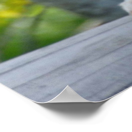 Mooie kunstvos poster (Hoek)