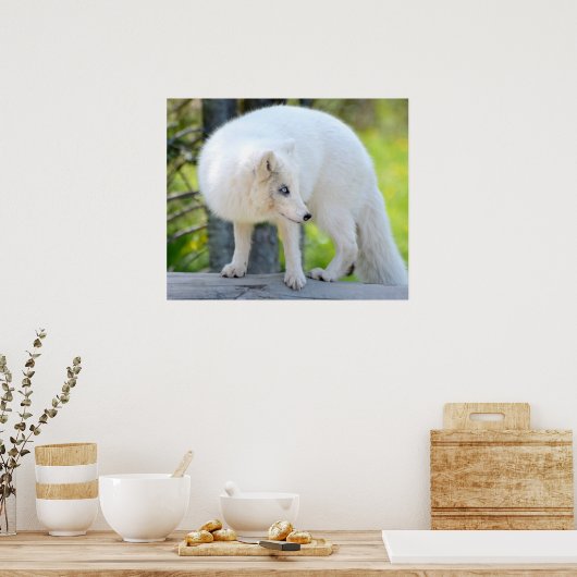 Mooie kunstvos poster (Keuken)