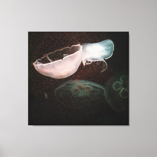 Mooie kwallen canvas afdruk (Voorkant)