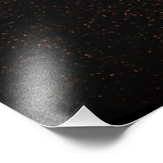 Mooie kwallen foto afdruk (Hoek)