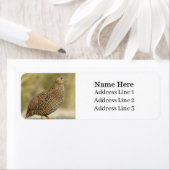 Mooie kwartelvogel retour adres etiket (Insitu)
