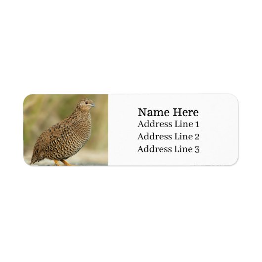 Mooie kwartelvogel retour adres etiket (Voorkant)