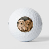Mooie lab puppy's golfballen (Voorkant)