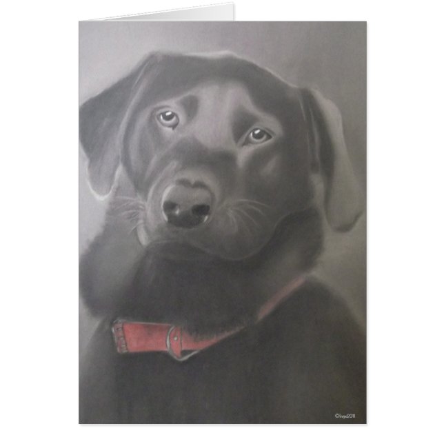 Mooie Labrador (Voorkant)