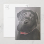 Mooie labrador Retriever tekening Briefkaart (Voorkant / Achterkant)