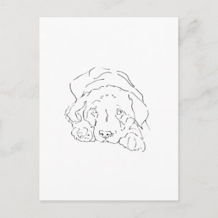Mooie Labrardor Retriever Muurkunst, Poster Tekeni Briefkaart