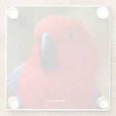 Mooie 'Lady in Red' Eclectus Parrot Glazen Onderzetter (Achterkant)