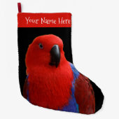 Mooie 'Lady in Red' Eclectus Parrot Grote Kerstsok (Voorkant)