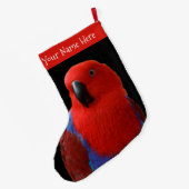 Mooie 'Lady in Red' Eclectus Parrot Grote Kerstsok (Achterkant (Hangend))