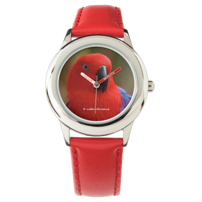 Mooie 'Lady in Red' Eclectus Parrot Horloge (Voorkant)
