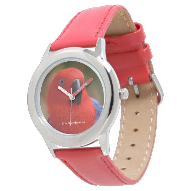 Mooie 'Lady in Red' Eclectus Parrot Horloge (Gekanteld)