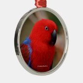 Mooie 'Lady in Red' Eclectus Parrot Metalen Ornament (Rechts)