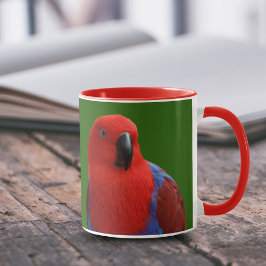 Mooie 'Lady in Red' Eclectus Parrot Mok