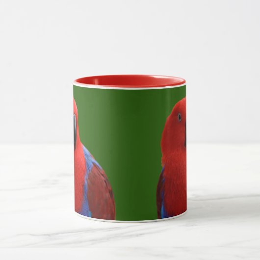 Mooie 'Lady in Red' Eclectus Parrot Mok (Midden)