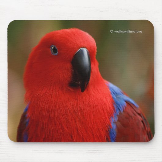 Mooie 'Lady in Red' Eclectus Parrot Muismat (Voorkant)