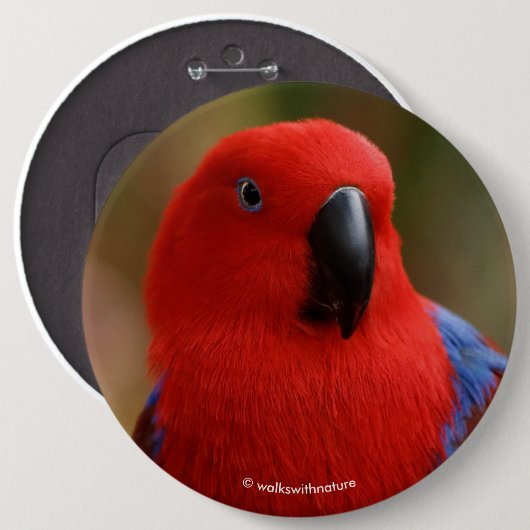 Mooie 'Lady in Red' Eclectus Parrot Ronde Button 6,0 Cm (Voorkant /achterkant)