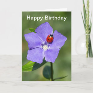 Mooie Ladybug op Periwinkle Birthday Card Kaart