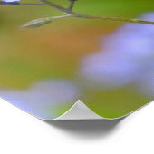 Mooie Ladybug op 'vergeet-me' en niet 8x12-inch af Poster (Hoek)