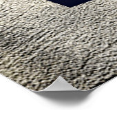 Mooie Lalique Perfume-flessen Poster (Hoek)