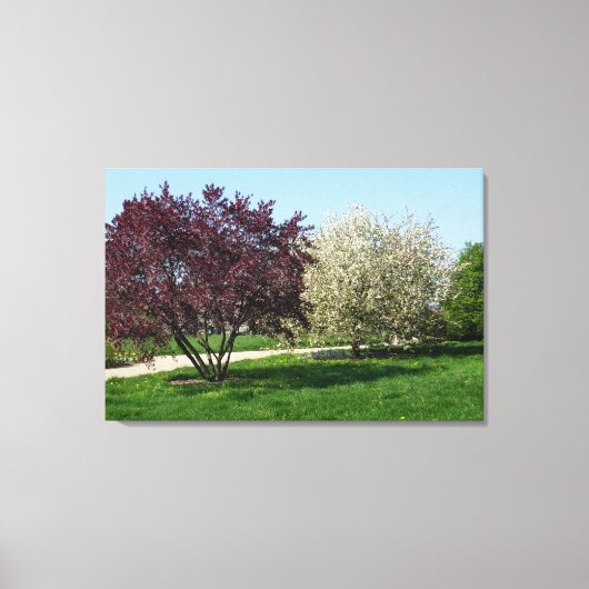 Mooie Landschap en Bomen Canvas Afdruk (Voorkant)