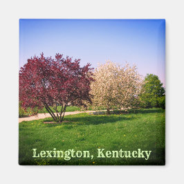 Mooie landschap en bomen in Kentucky Magneet
