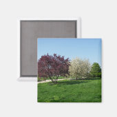 Mooie Landschap en Bomen Magneet (Voorkant / Achterkant)