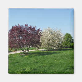Mooie Landschap en Bomen Magneet