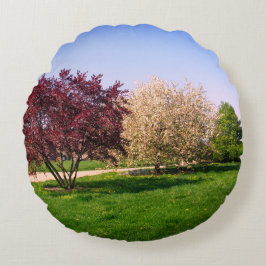 Mooie Landschap en Bomen Rond Kussen