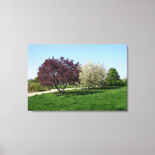 Mooie Landschap met Bomen Canvas Afdruk (Voorkant)