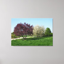 Mooie Landschap met Bomen