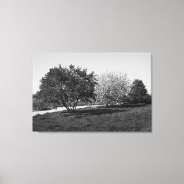 Mooie Landschap met Bomen in Zwart en Wit Canvas Afdruk
