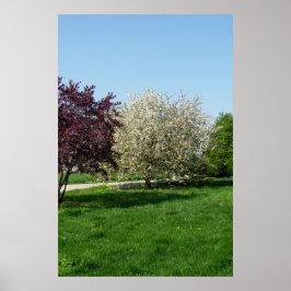 Mooie landschap met bomen poster