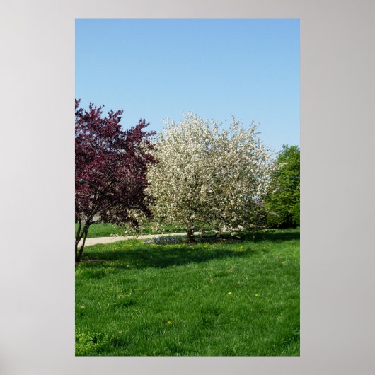 Mooie landschap met bomen poster (Voorkant)