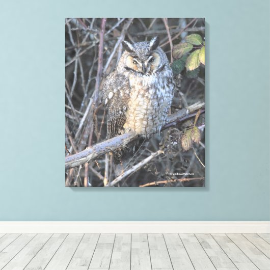 Mooie, langbeboeide boomgaard bij de zon canvas afdruk (Insitu (Houten vloer))