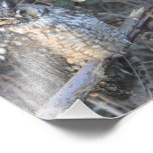 Mooie, langbeboeide boomgaard bij de zon foto afdruk (Hoek)