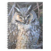 Mooie, langbeboeide boomgaard bij de zon notitieboek (Voorkant)