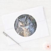 Mooie, langbeboeide boomgaard bij de zon ronde sticker (Envelop)