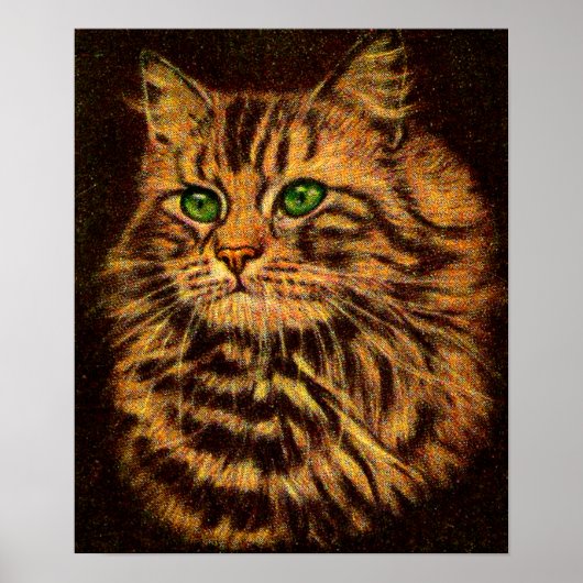 mooie langharige kat poster (Voorkant)