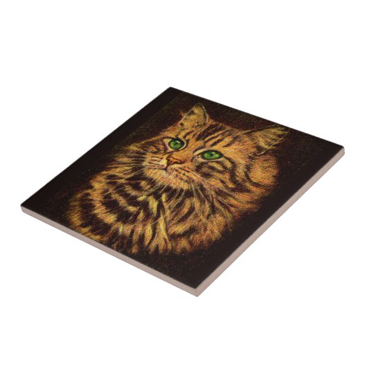 mooie langharige kat tegeltje (Zijkant)