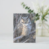 Mooie, langouderooide vogel van prooi op zonsonder briefkaart (Staand voorkant)