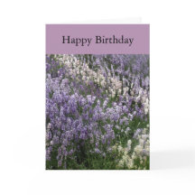Mooie Lavendel Happy Birthday Kaart